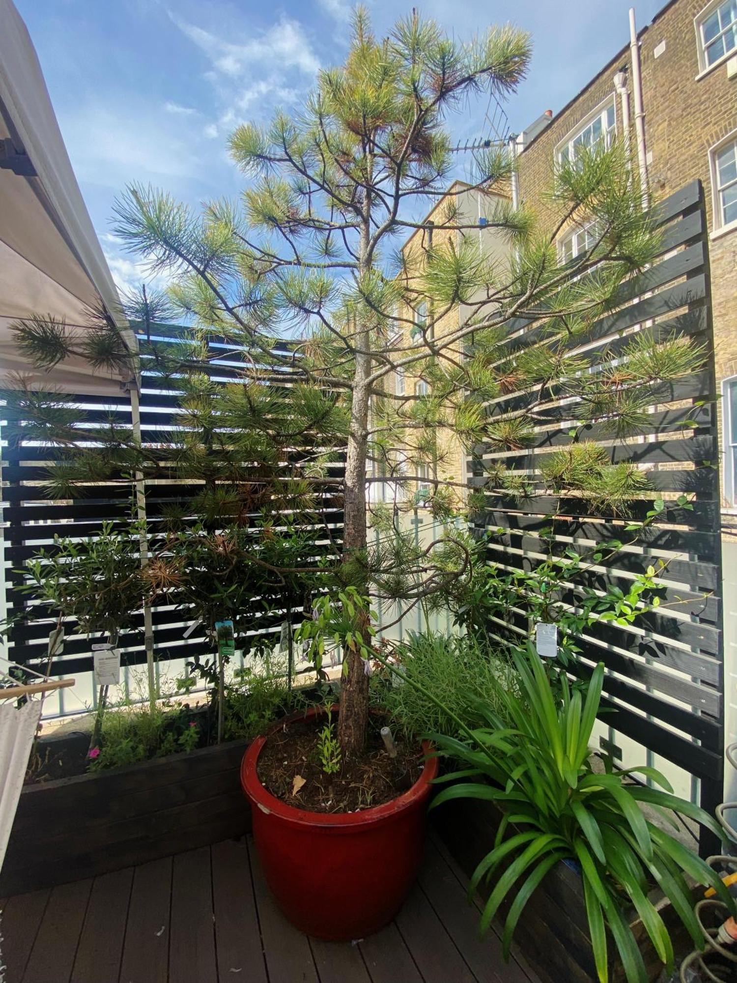 Luxury Belgrave Square Private Mews Townhouse Casa vacanze